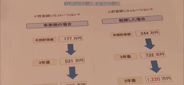 逃げるは恥だが役に立つ 第10話 试算表 剧照